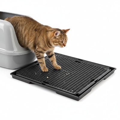 Chat sortant de son bac et marchant sur le tapis litière pour chat