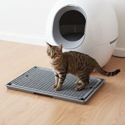 Chat debout sur tapis litière pour chat