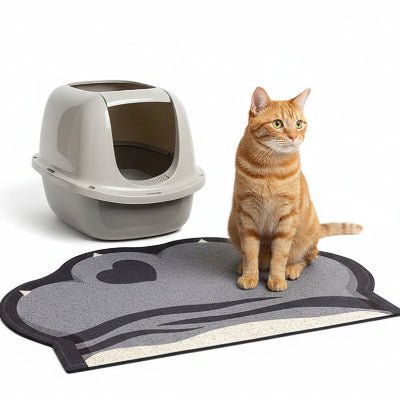 Chat debout sur le tapis litière pour chat devant la litière