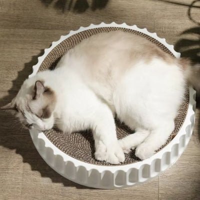 Chat dormant sur un griffoir pour chat