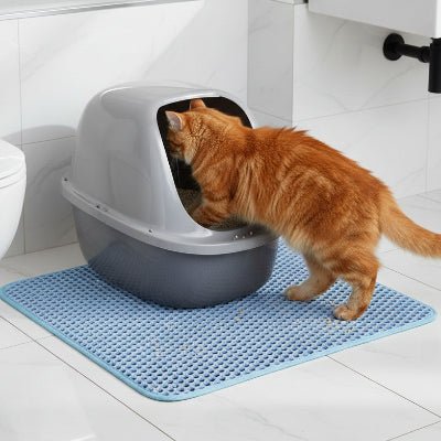 Chat entrant dans son bac à litière, posé sur un tapis chat litière