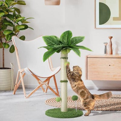 Chat étire contre le griffoir chat