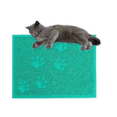 Chat gris allongé sur le tapis litière pour chat turquoise