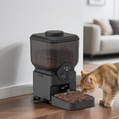 Chat beige mangeant des croquettes dans un distributeur croquette chat automatique
