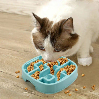 Chat mangeant son repas dans une gamelle anti glouton pour chat turquoise