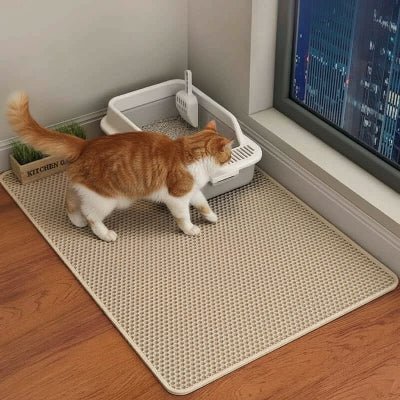 Chat montant dans le bac grâce au tapis placé devant