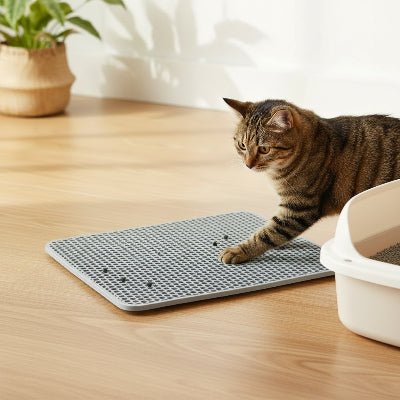 Chat posant une patte sur le tapis chat litière à côté du bac à litière