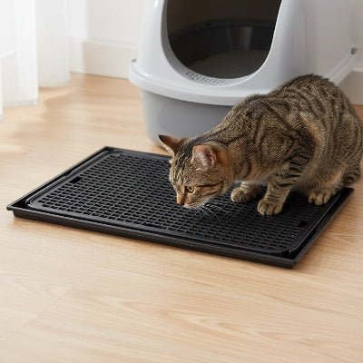 Chat reniflant le tapis litière pour chat placé devant la litière
