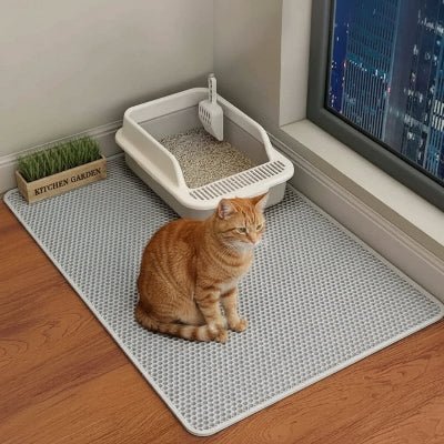 Chat roux assis sur un tapis chat litière