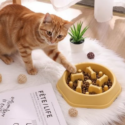 Chat roux jouant près d’une gamelle anti glouton jaune