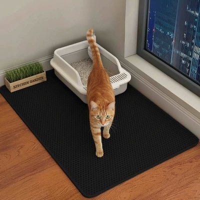 Chat sortant du bac sur un tapis chat litière