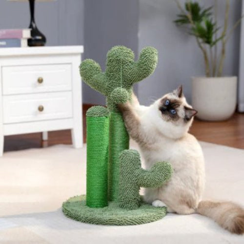 chat utilisant le poteau griffoir pour chat