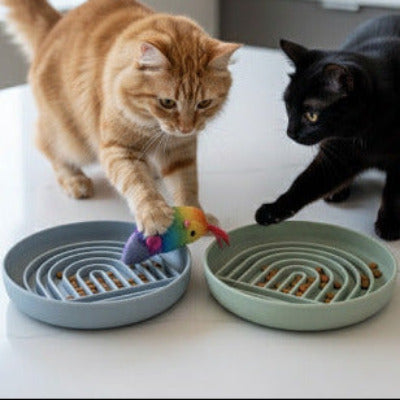 Deux chats jouant près de gamelle anti glouton vertes et bleues.