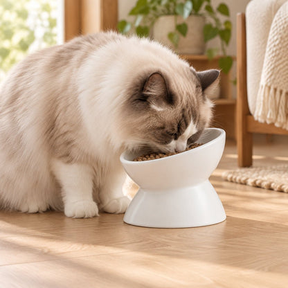 Gamelle chat céramique surélevée blanc