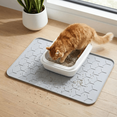 le bac à litière sur le tapis pour litière chat