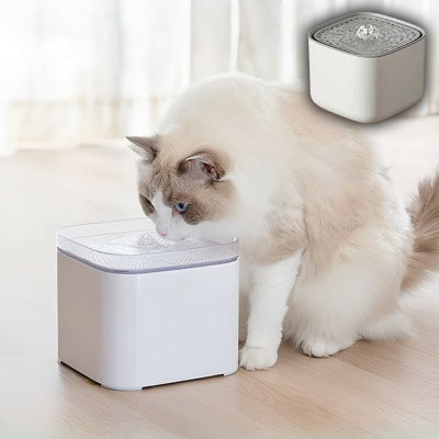beau chat yeux bleu buvant fontaine a eau pour chat 