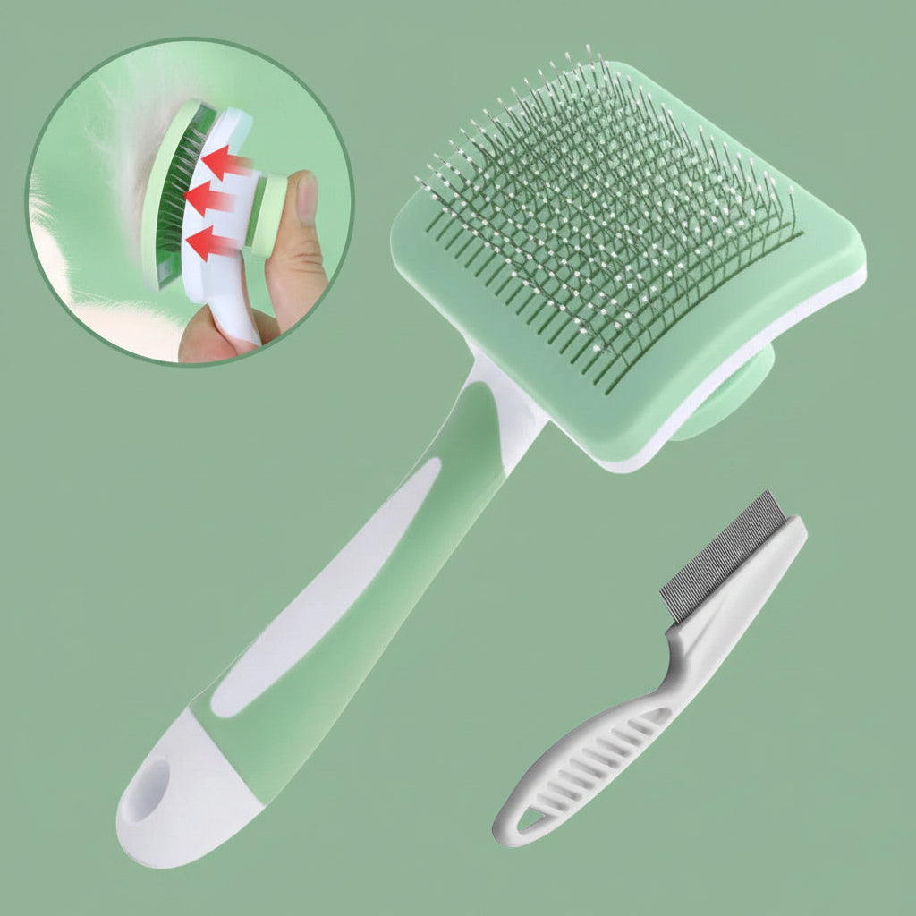 bouton de la brosse chat poils longs