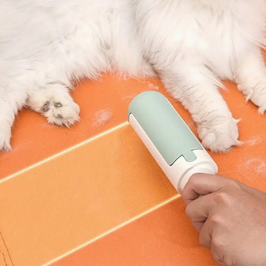 brosse anti poil en action à côte du chat allongé
