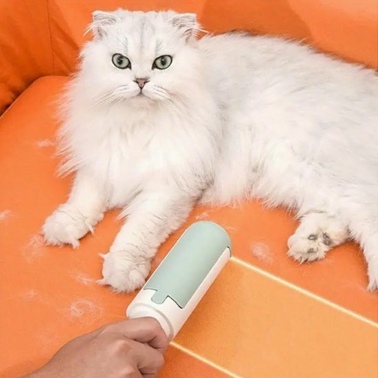brosse anti poil en action sur canapé orange