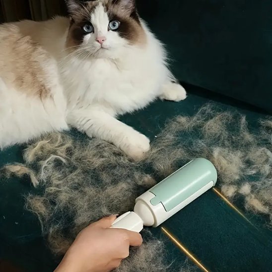 brosse anti poil en action sur canapé vert