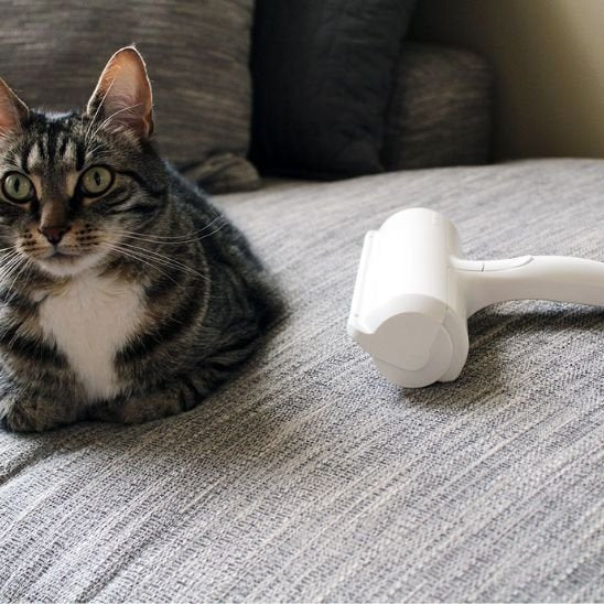 la Brosse anti poil prés du chat