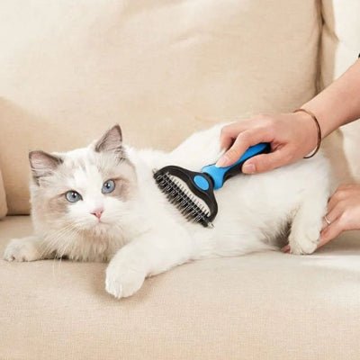 Brosse chat glissant sur le pelage du chat