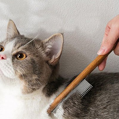 Brosse chat​ glissant sur le pelage du chat