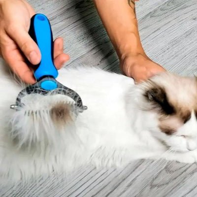 Brosse chat retirant les poils morts du pelage 