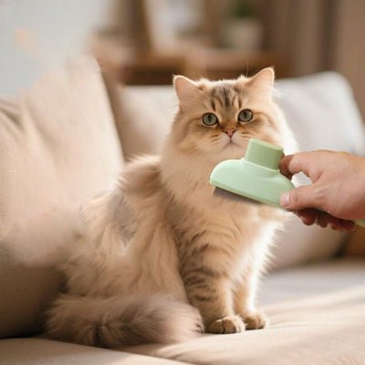 Brosse pour chat à côté d’un chat prêt à être brossé