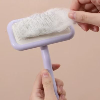 brosse pour chat à poil long attrapant les poils morts