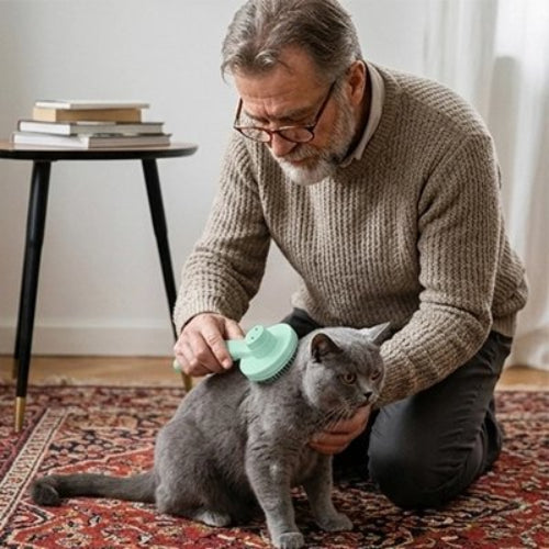 brosse pour chat à poil long sur un chat gris