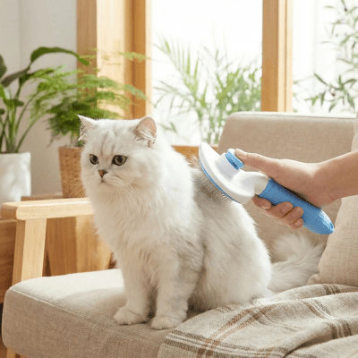 brosse pour chat poil long en action sur le chat blanc