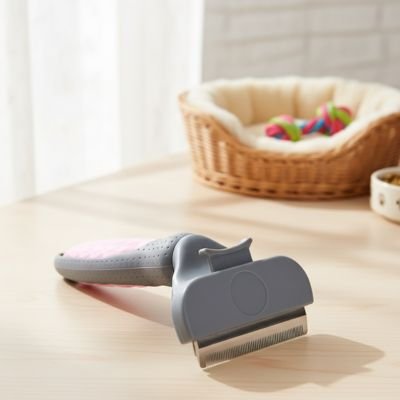 Brosse pour chat posée sur une table        