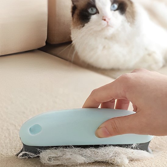 brosse pour enlever poils de chat turquoise