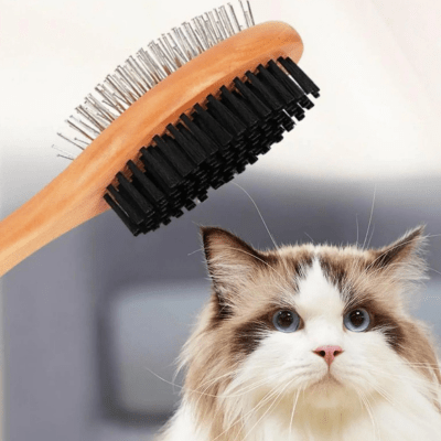 la manche de la brosses pour chat en bois