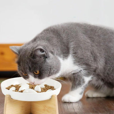 chat gris prend son repas dans la gamelle anti glouton chat