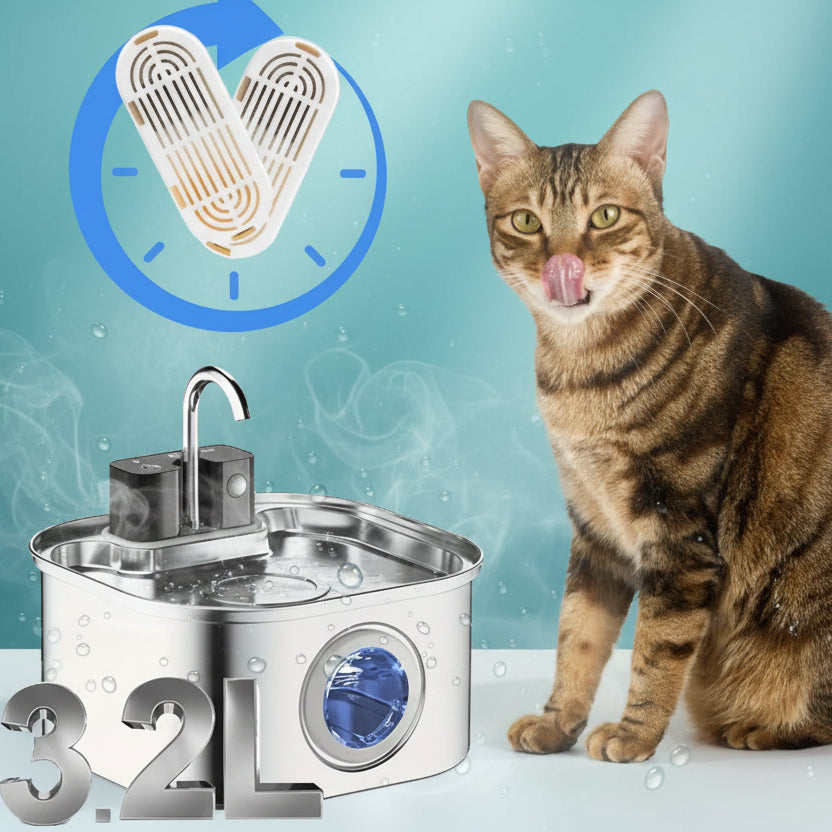 chat à côté du filtre fontaine a eau chat