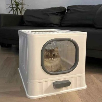 chat beige est accroupi dans le bac pour litière chat