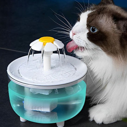 chat adore eau fontaine a eau chat