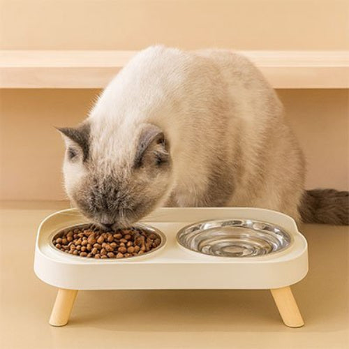 chat s'alimente dans gamelles pour chat