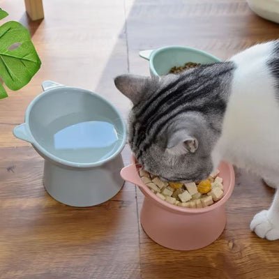chat alimente gamelle en hauteur pour chat