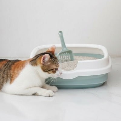 Le chat est allongé à côté de l’entrée du bac a litiere pour chat 