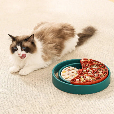 chat allongé à côté de la gamelles anti glouton chat rouge et verte