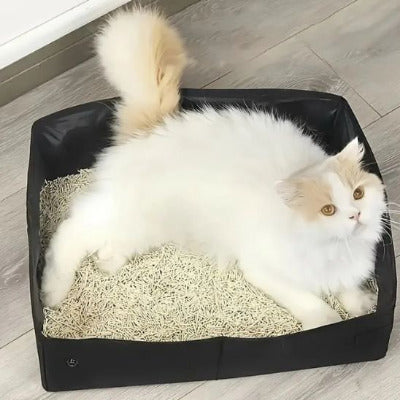 Le chat est allongé dans le bac a litiere pour chat