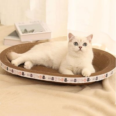 chat allongé confortablement dans le griffoir chat carton