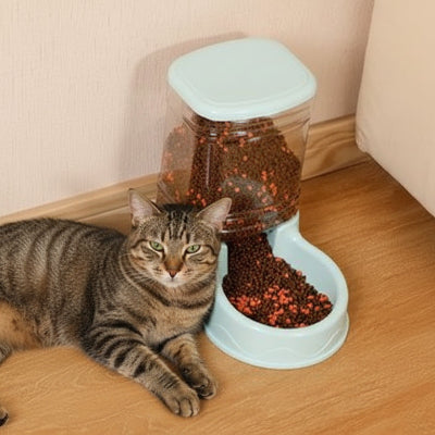 chat allongé devant distributeur de croquettes et d’eau 
