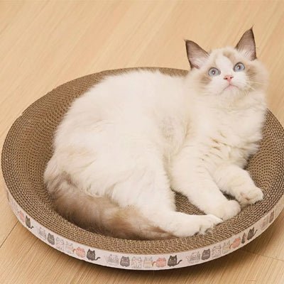 Chat allongé sur un griffoir chat carton