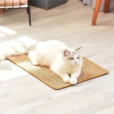 chat allongeant sur le griffoir a chat