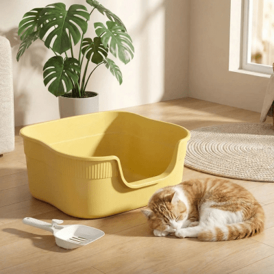 chat allongeant à côté du bac a litiere chat 