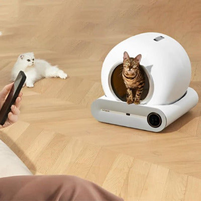 Selected Variant Image